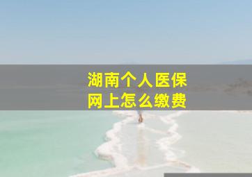 湖南个人医保网上怎么缴费