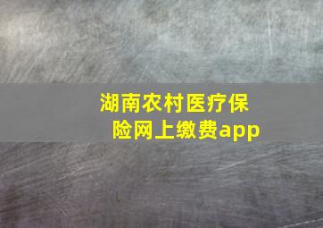 湖南农村医疗保险网上缴费app