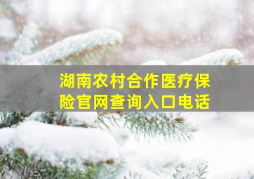 湖南农村合作医疗保险官网查询入口电话