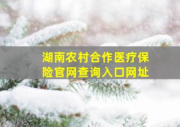 湖南农村合作医疗保险官网查询入口网址