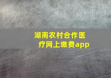 湖南农村合作医疗网上缴费app