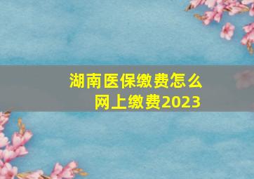 湖南医保缴费怎么网上缴费2023