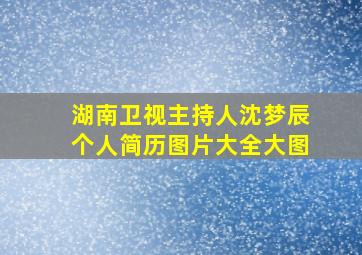 湖南卫视主持人沈梦辰个人简历图片大全大图