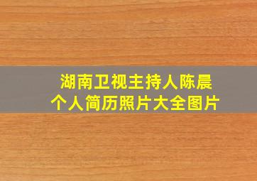 湖南卫视主持人陈晨个人简历照片大全图片