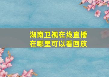 湖南卫视在线直播在哪里可以看回放