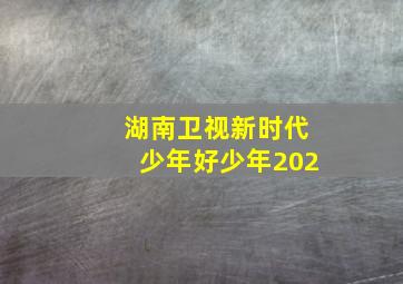 湖南卫视新时代少年好少年202