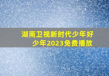 湖南卫视新时代少年好少年2023免费播放