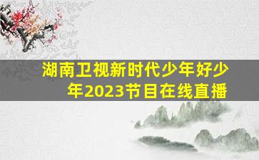 湖南卫视新时代少年好少年2023节目在线直播