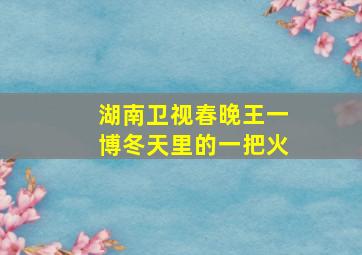 湖南卫视春晚王一博冬天里的一把火