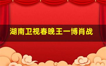 湖南卫视春晚王一博肖战