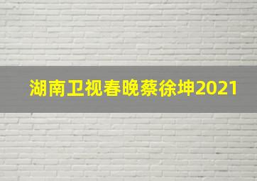 湖南卫视春晚蔡徐坤2021