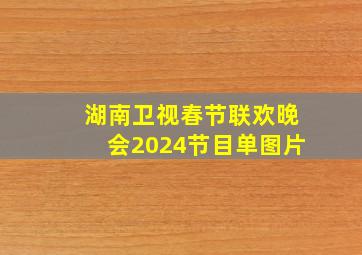 湖南卫视春节联欢晚会2024节目单图片