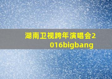 湖南卫视跨年演唱会2016bigbang