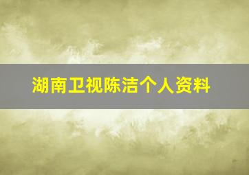 湖南卫视陈洁个人资料