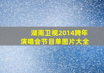 湖南卫视2014跨年演唱会节目单图片大全