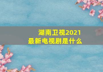 湖南卫视2021最新电视剧是什么