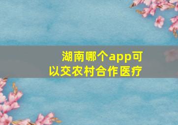 湖南哪个app可以交农村合作医疗