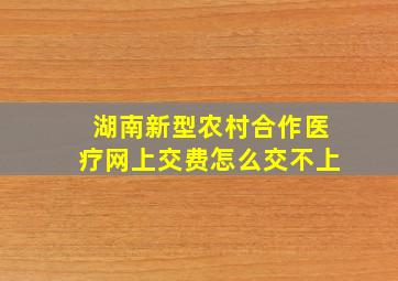 湖南新型农村合作医疗网上交费怎么交不上