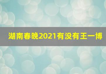 湖南春晚2021有没有王一博