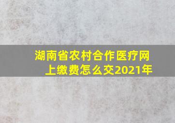 湖南省农村合作医疗网上缴费怎么交2021年