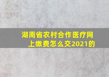 湖南省农村合作医疗网上缴费怎么交2021的