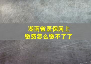 湖南省医保网上缴费怎么缴不了了