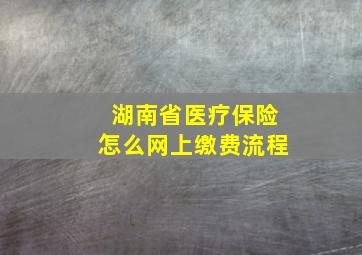 湖南省医疗保险怎么网上缴费流程