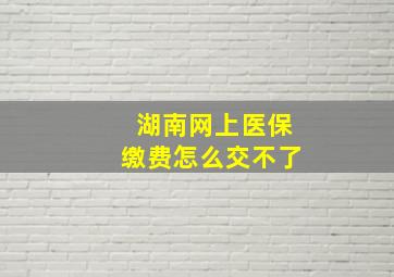 湖南网上医保缴费怎么交不了