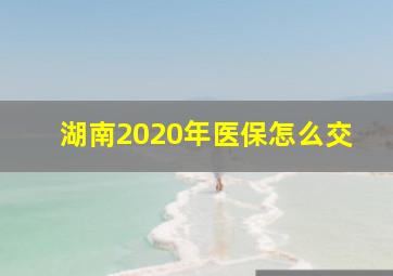 湖南2020年医保怎么交