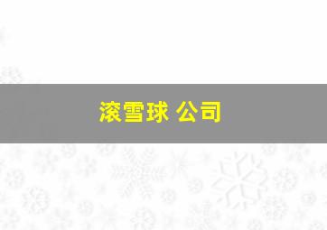 滚雪球 公司