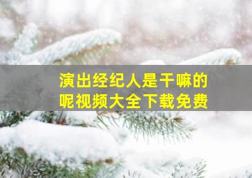 演出经纪人是干嘛的呢视频大全下载免费