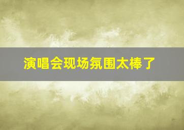 演唱会现场氛围太棒了