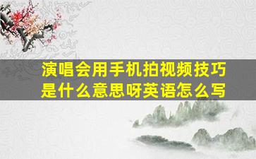 演唱会用手机拍视频技巧是什么意思呀英语怎么写