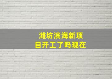 潍坊滨海新项目开工了吗现在