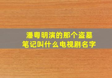 潘粤明演的那个盗墓笔记叫什么电视剧名字