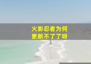 火影忍者为何更新不了了呀