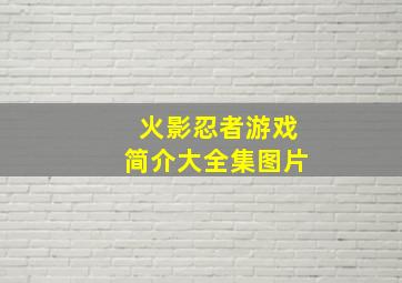 火影忍者游戏简介大全集图片