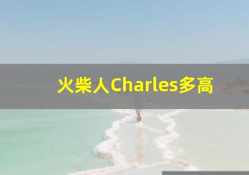 火柴人Charles多高