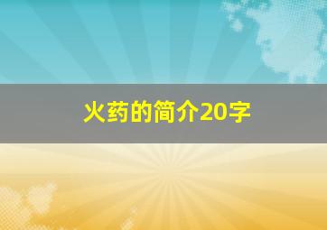 火药的简介20字