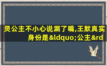 灵公主不小心说漏了嘴,王默真实身份是“公主”?