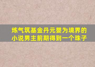 炼气筑基金丹元婴为境界的小说男主前期得到一个珠子