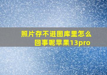 照片存不进图库里怎么回事呢苹果13pro