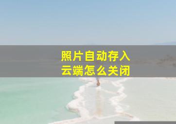 照片自动存入云端怎么关闭