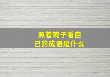 照着镜子看自己的成语是什么