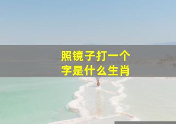 照镜子打一个字是什么生肖