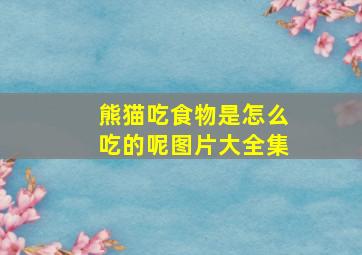 熊猫吃食物是怎么吃的呢图片大全集