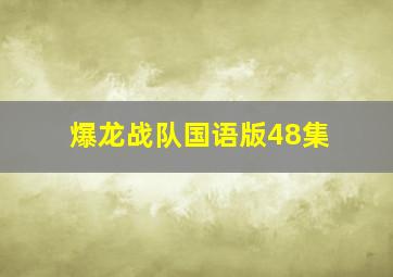 爆龙战队国语版48集