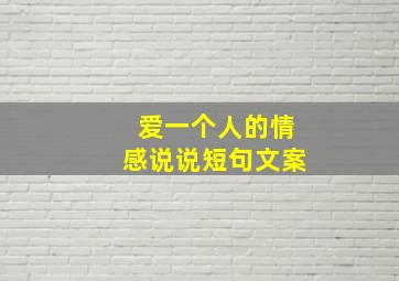 爱一个人的情感说说短句文案