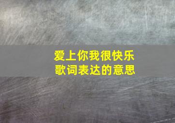 爱上你我很快乐 歌词表达的意思