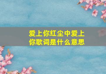 爱上你红尘中爱上你歌词是什么意思